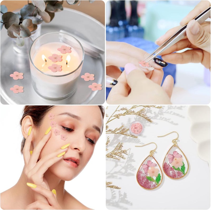 DREMISI 50Pcs Forget Me Not Dried Flowers Don't Forget Me Dried Flowers Natural Dried Pressed Flowers with Forceps for Resin Jewelry Making Candle Nail Art Flower Ornaments Paper Making Supplies, Pink - Image 5